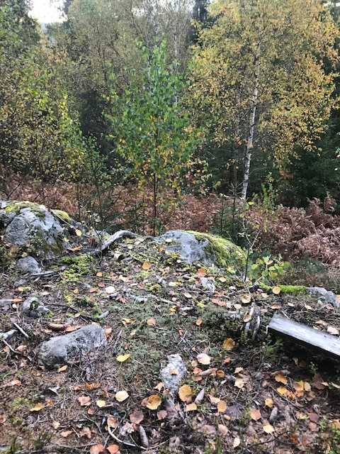 revekassa